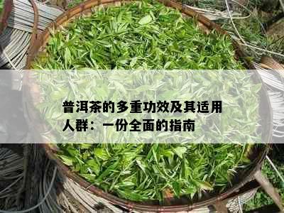 普洱茶的多重功效及其适用人群：一份全面的指南