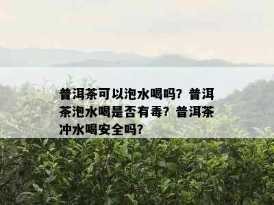 普洱茶可以泡水喝吗？普洱茶泡水喝是否有？普洱茶冲水喝安全吗？