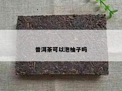 普洱茶可以泡柚子吗