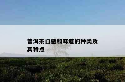 普洱茶口感和味道的种类及其特点