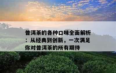 普洱茶的各种口味全面解析：从经典到创新，一次满足你对普洱茶的所有期待