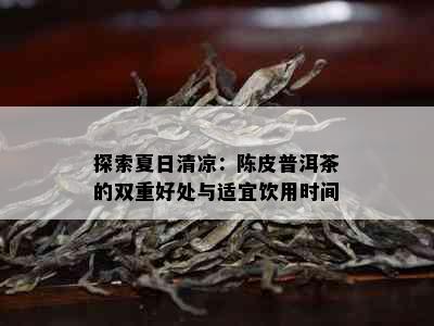 探索夏日清凉：陈皮普洱茶的双重好处与适宜饮用时间