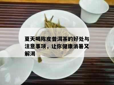 夏天喝陈皮普洱茶的好处与注意事项，让你健康消暑又解渴