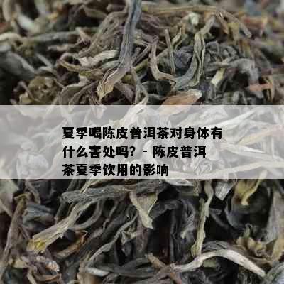 夏季喝陈皮普洱茶对身体有什么害处吗？- 陈皮普洱茶夏季饮用的影响