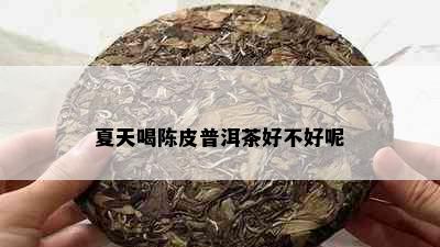 夏天喝陈皮普洱茶好不好呢