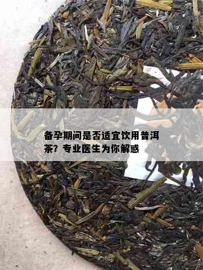 备孕期间是否适宜饮用普洱茶？专业医生为你解惑