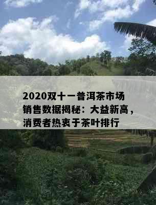 2020双十一普洱茶市场销售数据揭秘：大益新高，消费者热衷于茶叶排行