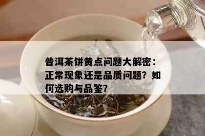 普洱茶饼黄点问题大解密：正常现象还是品质问题？如何选购与品鉴？