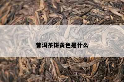 普洱茶饼黄色是什么