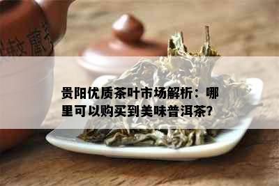 贵阳优质茶叶市场解析：哪里可以购买到美味普洱茶？