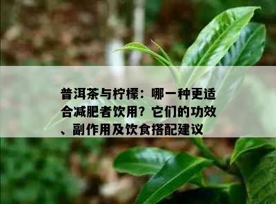 普洱茶与柠檬：哪一种更适合减肥者饮用？它们的功效、副作用及饮食搭配建议