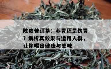 陈皮普洱茶：养胃还是伤胃？解析其效果与适用人群，让你喝出健康与美味