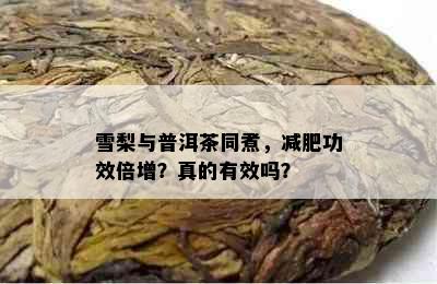 雪梨与普洱茶同煮，减肥功效倍增？真的有效吗？