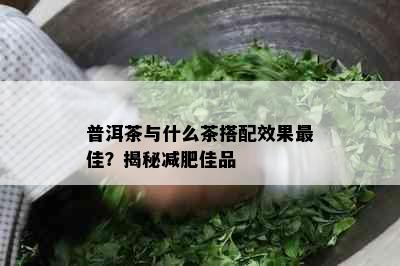 普洱茶与什么茶搭配效果更佳？揭秘减肥佳品