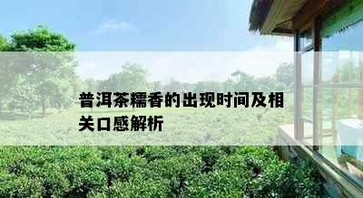 普洱茶糯香的出现时间及相关口感解析