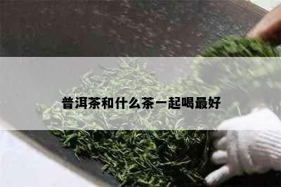 普洱茶和什么茶一起喝更好