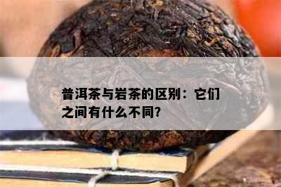 普洱茶与岩茶的区别：它们之间有什么不同？