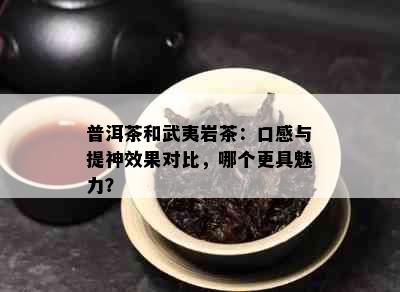 普洱茶和武夷岩茶：口感与提神效果对比，哪个更具魅力？