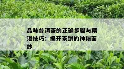 品味普洱茶的正确步骤与精湛技巧：揭开茶饼的神秘面纱