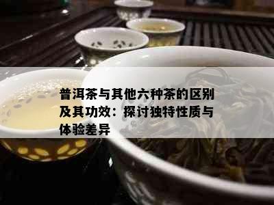 普洱茶与其他六种茶的区别及其功效：探讨独特性质与体验差异