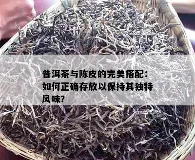 普洱茶与陈皮的完美搭配：如何正确存放以保持其独特风味？