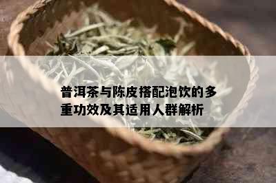 普洱茶与陈皮搭配泡饮的多重功效及其适用人群解析