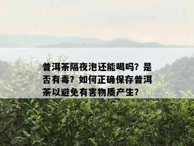 普洱茶隔夜泡还能喝吗？是否有？如何正确保存普洱茶以避免有害物质产生？