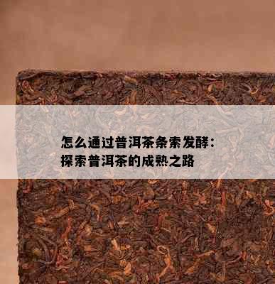 怎么通过普洱茶条索发酵：探索普洱茶的成熟之路