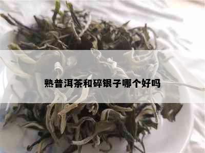 熟普洱茶和碎银子哪个好吗