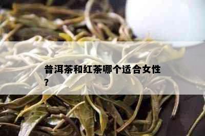 普洱茶和红茶哪个适合女性？