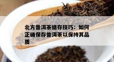 北方普洱茶储存技巧：如何正确保存普洱茶以保持其品质