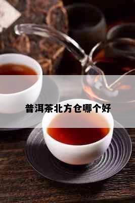 普洱茶北方仓哪个好