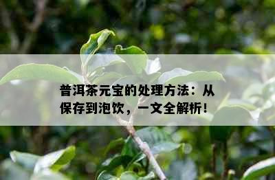 普洱茶元宝的处理方法：从保存到泡饮，一文全解析！