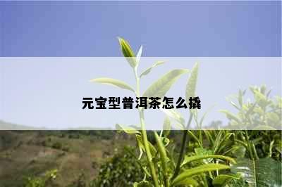 元宝型普洱茶怎么撬