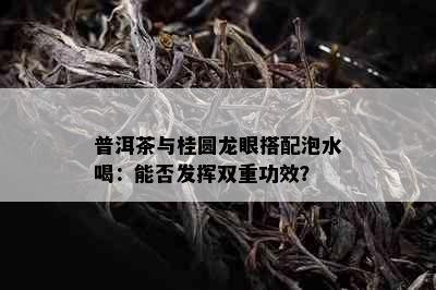 普洱茶与桂圆龙眼搭配泡水喝：能否发挥双重功效？