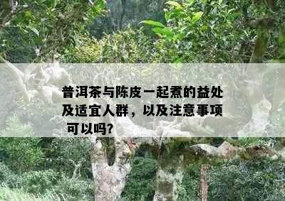 普洱茶与陈皮一起煮的益处及适宜人群，以及注意事项 可以吗？