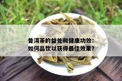 普洱茶的益处和健康功效：如何品饮以获得更佳效果？