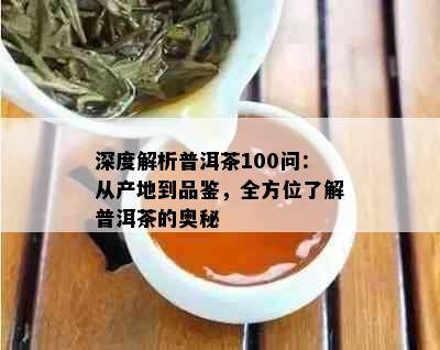 深度解析普洱茶100问：从产地到品鉴，全方位了解普洱茶的奥秘