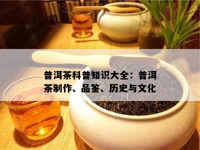 普洱茶科普知识大全：普洱茶制作、品鉴、历史与文化