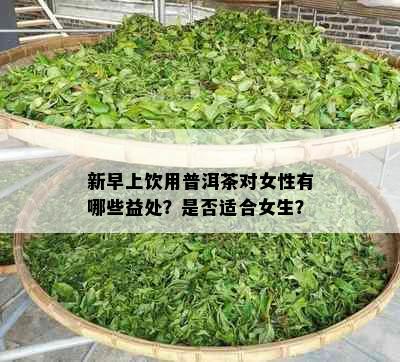 新早上饮用普洱茶对女性有哪些益处？是否适合女生？