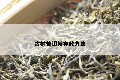 古树普洱茶存放方法