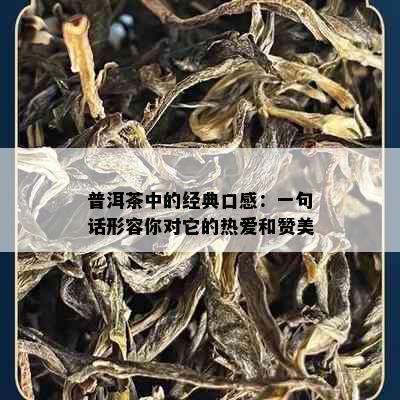 普洱茶中的经典口感：一句话形容你对它的热爱和赞美