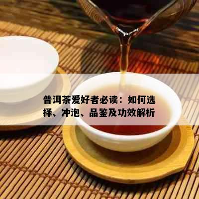 普洱茶爱好者必读：如何选择、冲泡、品鉴及功效解析