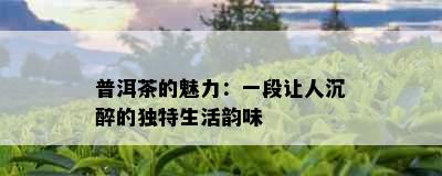 普洱茶的魅力：一段让人沉醉的独特生活韵味