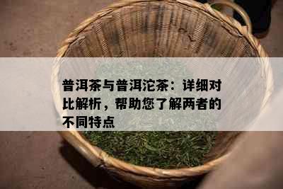 普洱茶与普洱沱茶：详细对比解析，帮助您了解两者的不同特点