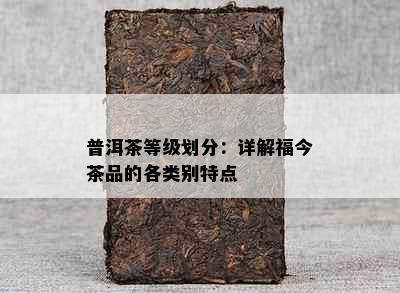 普洱茶等级划分：详解福今茶品的各类别特点