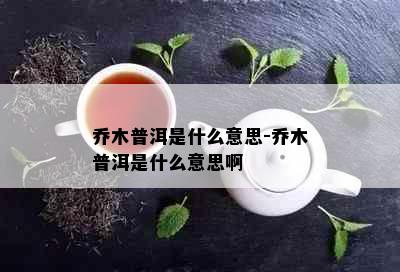 乔木普洱是什么意思-乔木普洱是什么意思啊