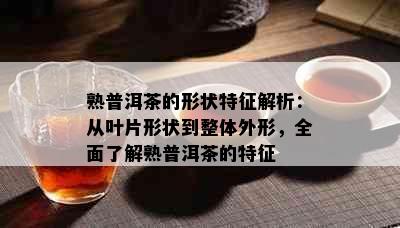 熟普洱茶的形状特征解析：从叶片形状到整体外形，全面了解熟普洱茶的特征