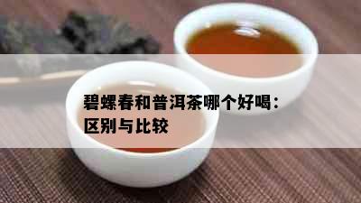 碧螺春和普洱茶哪个好喝：区别与比较