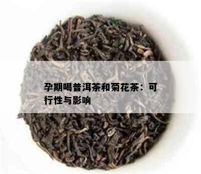 孕期喝普洱茶和菊花茶：可行性与影响